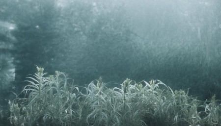 CRM软件定制开发服务