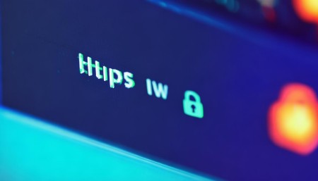 另外，浏览器地址栏也得看清楚。真系统的网址应该是https开头，有个小锁头标志。如果是http，或者