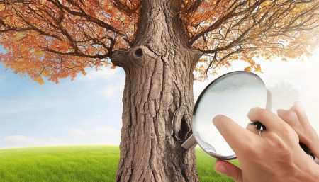 所以说到底，CRM是个放大器。你本身服务做得好，它能帮你做得更好、更高效；但如果你对客户不上心，光靠