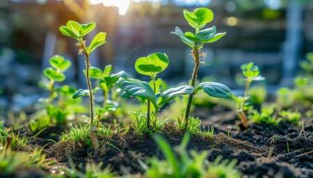 台州市CRM系统外包开发：助力销售业务快速增长-台州市CRM系统外包开发：加速销售业绩腾飞