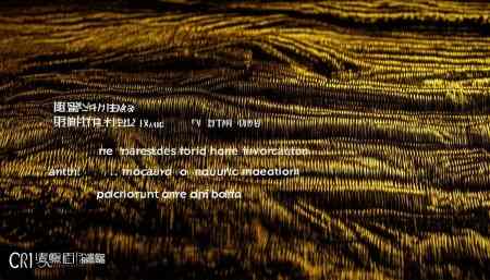 哪个CRM客户端好？